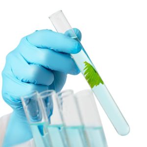 BNG786 - Nitrile Ultra Soft Blue